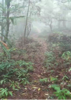 【0325】你守護(hù)深山水電站，蘇寧物流守護(hù)你的心愿必達(dá)1150.png
